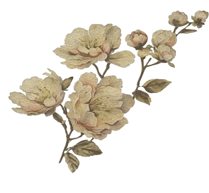 blomma